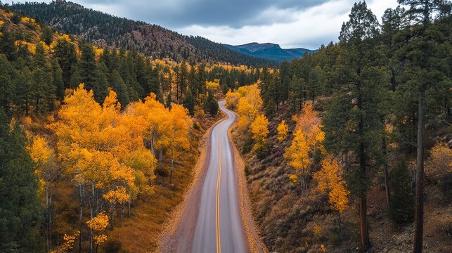 Scenic autumn road winding through golden aspen trees and mountains fall view path drive image photo - Powered by Adobe