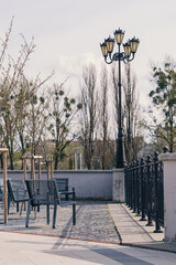 Park area features benches and vintage street lamp amidst bare trees on a sunny day in a tranquil city setting