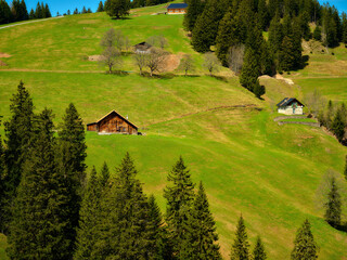 Scenic view of green hills and wooden houses surrounded by pine trees in a mountainous landscape