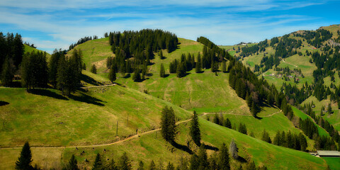 Vibrant green hills with lined trees under a clear blue sky in a tranquil valley during midday