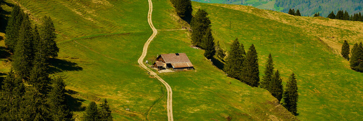 Solitary cabin on a hillside surrounded by lush greenery in the mountains during clear weather