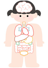  인체 주요 기관 알아보기 일러스트