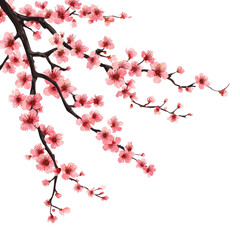 Beautiful sakura tree branch adorned with delicate pink flowers against a serene transparent background in spring, sakura tree branch flower transparent background