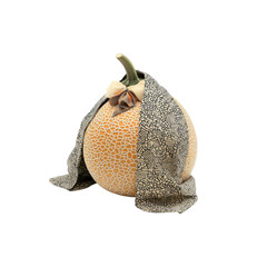 Honeydew Melon Dressed in Elegant Fabric