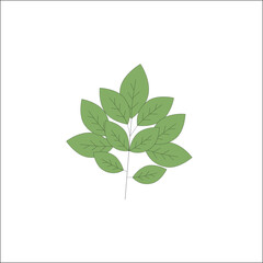 Leaf, Green, Botanical natural foliage illustration representing growth wellness environment suitable for eco brand graphics herbal packaging pattern making planner decoration 