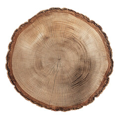 Fototapeta premium Detailed cross-section of tree trunk, showing growth rings in high resolution