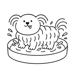 a cute hairy dog play water in pool
