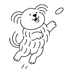 a cute hairy dog jump plying with toys