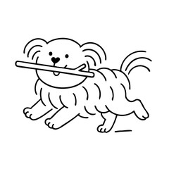a cute hairy dog running happy with stick on mouth