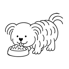 a cute hairy dog eat dog food on his bowl