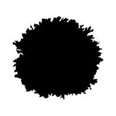 Fototapeta premium bush bare bush silhouette