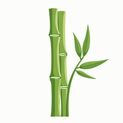 Obraz premium bamboo sticks with green leaves natural materials illustration