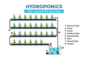 Illustration of vertical hydroponic system. Nutrient film technique. NFT. Diagram of a multi-level hydroponic setup.