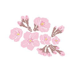 桜のアイコン（カラー）