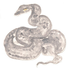 Naklejka premium Snake, viper, reptile. Watercolor illustration, hand drawn modern freehand new