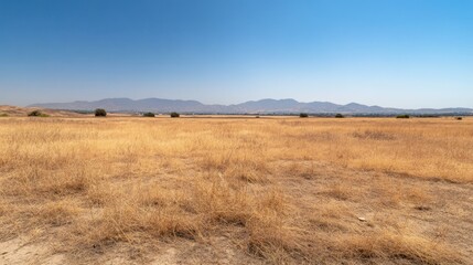 Obraz premium Panoramic view of a vast dry landscape under a bright blue sky