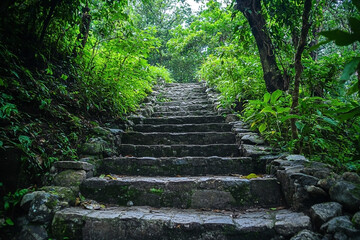 Ancient stone steps meandering through lush jungle greenery atmosphere scenery
