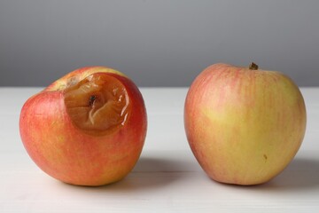 Rotten apples on white wooden table against grey background, closeup