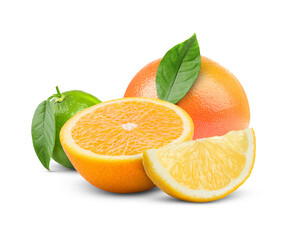 Fresh citrus fruits and green leaves on white background