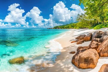 Tropical Beach Paradise (1)