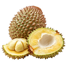 Obraz premium Fresh durian fruit presented on a transparent background, showcasing its spiky exterior and creamy interior in detail, Durian isolated on transparent background