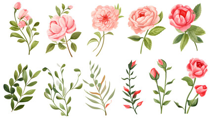Beautiful Set of Floral Branch with Pink Rose Peonies for Elegant Designs