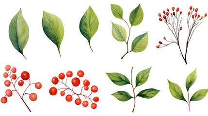 Obraz premium High-Quality Image of Fresh Green Leaves and Dry Branches with Red Berries