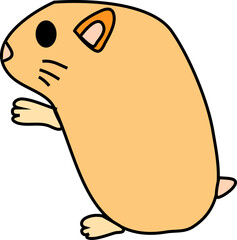 cute hamster