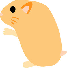 cute hamster