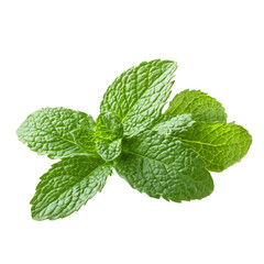 Fresh mint leaves isolated on a transparent background, highlighting their vibrant green color and natural texture, mint isolated on transparent background