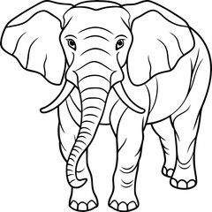 Fototapeta premium hand drawn elephant outline illustration 