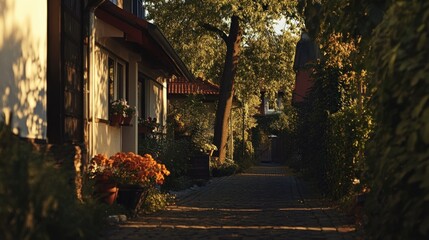 A sunlit pathway between buildings with plants and greenery