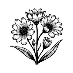 Elegant floral illustration with intricate linework showcasing botanical grace