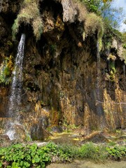 waterfall in the forest