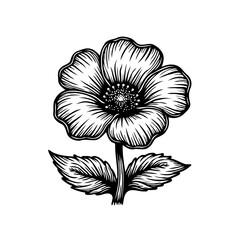 Monochrome floral drawing featuring detailed petals and foliage on white background