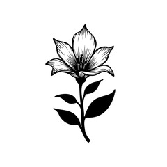 Elegant monochrome floral design featuring a blossoming lily with detailed petals