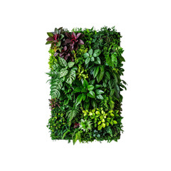 Naklejka premium Vertical garden living wall artificial plant panel greenery backdrop decor idea on transparent background
