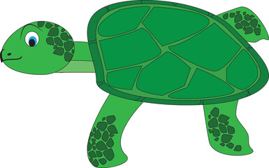 Turtle
