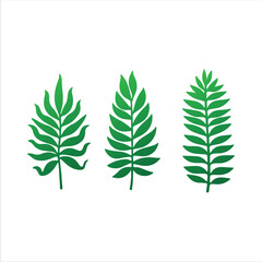 Decorative Tropical Plant Elements