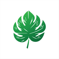 Decorative Tropical Plant Elements