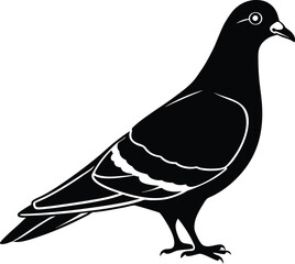 pigeon silhouette vector