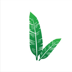 Decorative Tropical Plant Elements