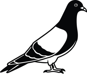 pigeon Bird silhouette vector