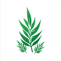 Decorative Tropical Plant Elements