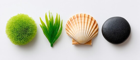 Fototapeta premium Creative flat lay design featuring marine-themed elements coastal setting visual art minimalist environment aerial perspective