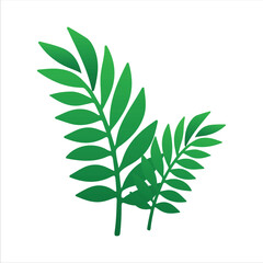 Natural Leaf Elements from the Tropics