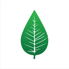 Natural Leaf Elements from the Tropics