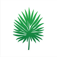 Stylish Tropic Leaves for Design

