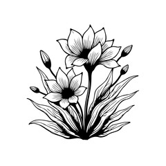 Elegant floral arrangement illustration with detailed line work and botanical elements