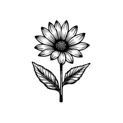 Elegant monochrome botanical illustration showcasing a blooming daisy design